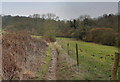 Ebor Way descending from Sicklinghall House