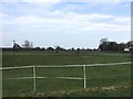 Reaseheath Equestrian Centre: horse paddocks