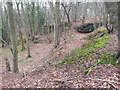 Disused Quarry in Woodland