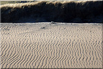 HP6514 : Upper beach, Norwick by Mike Pennington