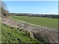 Looking east from Terrace Road