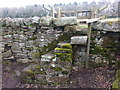 Stile and steps near West Oakwood