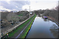 The Trent & Mersey Canal