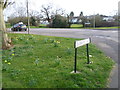 Looking across Burney Drive from Colebrooke Lane, Debden