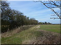 Near Common End, Colkirk, Norfolk