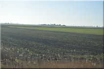 TL3196 : Farmland, Wype Doles by N Chadwick