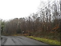 Woods on Emmets Lane, Brasted Chart