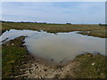 Flooded field entrance near Testerton Hall east of Colkirk