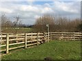 Nantwich: footpath off Waterlode