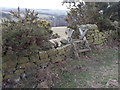NZ0658 : Stile on footpath at Apperley Bank by Clive Nicholson