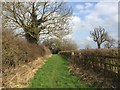 Diverted footpath north of Nantwich