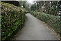 Footpath, Padstow