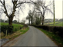 H6158 : Greenhill Road, Green Hill Demesne by Kenneth  Allen