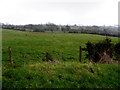 Ballymackilroy Townland