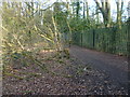 Footpath to Brittains Lane