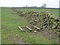 Field boundary west of Windsover Farm