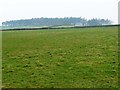 Farmland north-west of Windsover Farm