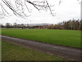 View west across the northern section of Ormeau Park