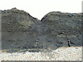 Erosion of cliff at Black Ven, Charmouth