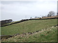 Hillside grazing near Moorbottom House