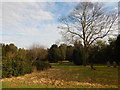 Bocking Cemetery