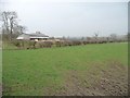 Barn at Woodgate Farm