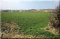 Field east of Canworthy Water