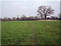 Footpath near Mobberley