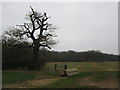 Meeting of path and bridleway near Park Thorns