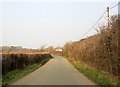 Road past Delabole Farm