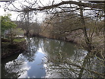 TM2281 : River off Mill Lane by Geographer