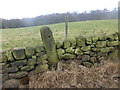 Cut Mark Lodge Lane Sheffield Gatepost wider view