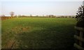 SX2892 : Field near Nescott by Derek Harper