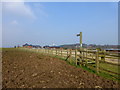 Waymarker on Red Brow Lane, Daresbury Park