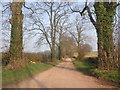 Lane to Peartwater Road