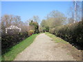 The Bishop Bennet Way at Cuddington Heath