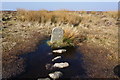 SX7079 : Boundary Stone, Broad Barrow by jeff collins