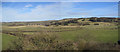 View towards Thropton and Rothbury Terraces