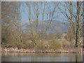 Whitfield Valley Nature Reserve