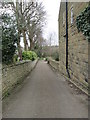 Footpath - Moor Lane 