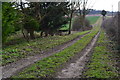 Farm track near Rockbourne