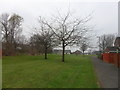 Open Space at Flodden, Killingworth