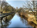 Leeds and Liverpool canal, View from Reedyford Bridge