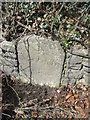 Milestone - Llandovery 1