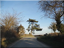 SU6055 : Bend on road in Monk Sherborne by David Howard
