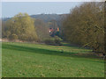 Fields near Bridge End, Ockham