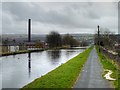 SD8432 : Leeds and Liverpool Canal, Burnley by David Dixon