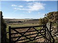 Looking through a field gate at Cator Green towards Ridden