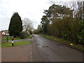 Houses on Hall Road