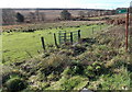 Kissing gate to open access (common) land, Heol-y-cyw